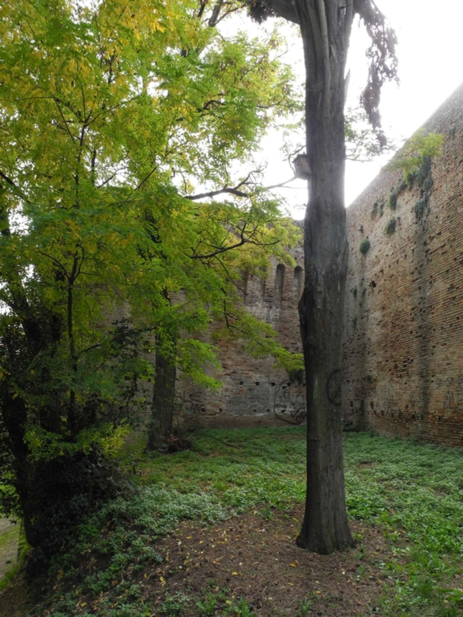 Rocca Malatestiana di Cesena, Archivio IBC